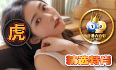 布料总合一材料老夫图厍